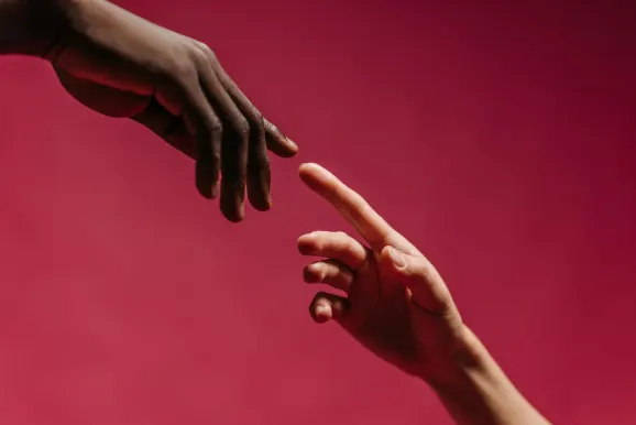 Kasino Red Kings Sokongan